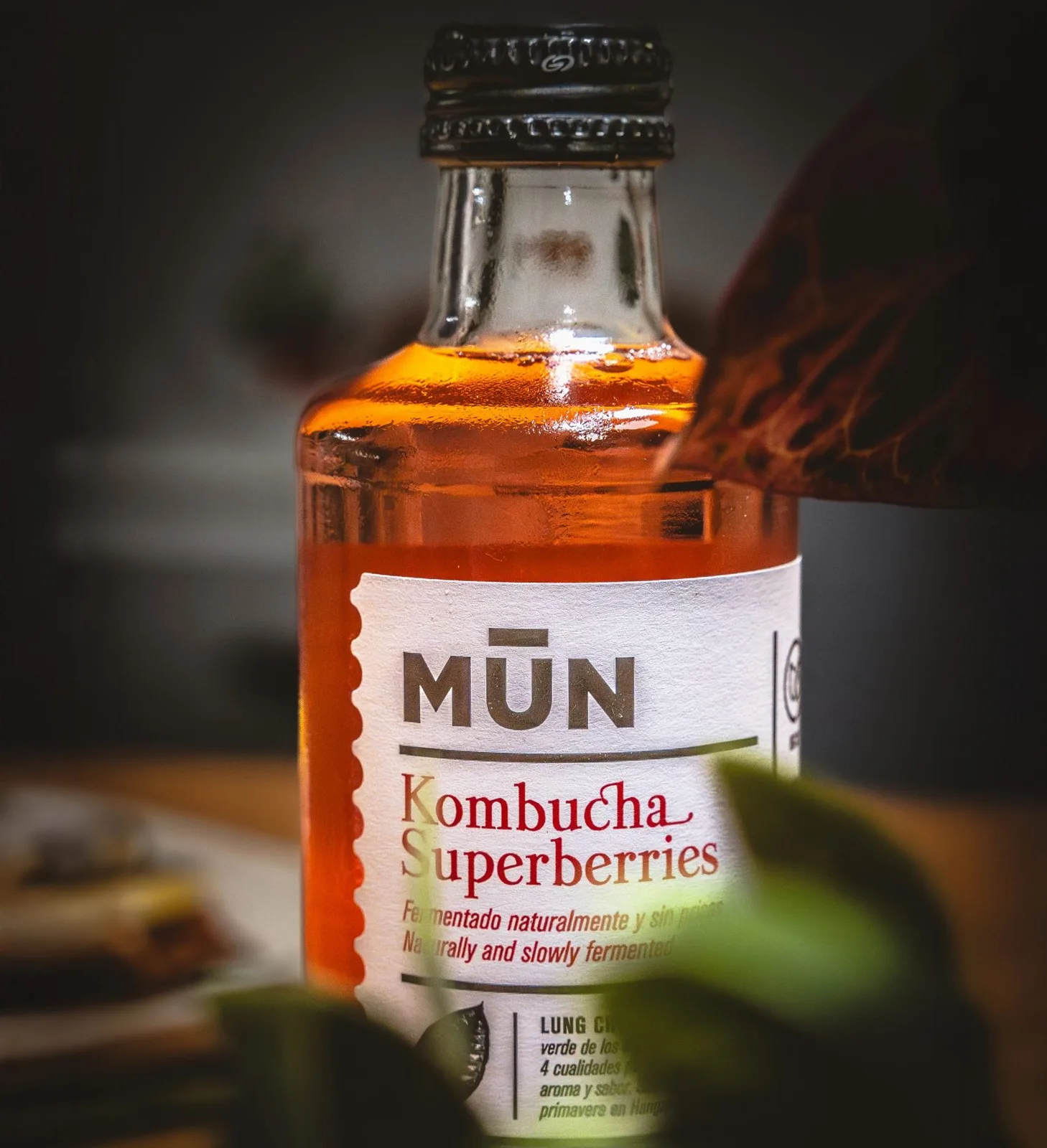 Kombucha